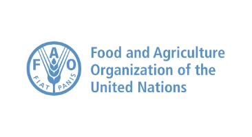 UNDP FAO